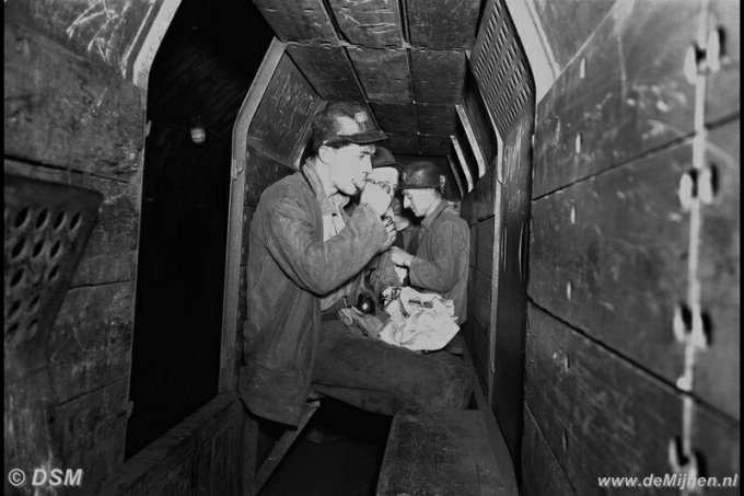 De Schaf 1952
